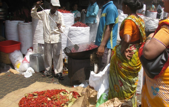 INDIA-APRIL-2011-060-1024x768