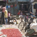 INDIA-APRIL-2011-4441-768x1024