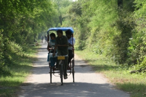 bharatpur-Keoladeo-National-Park