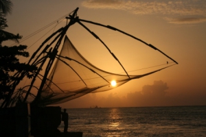 Cochin chinese nets