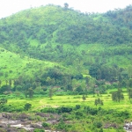 Countryside in Orissa