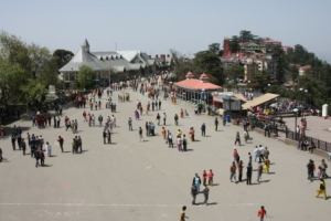 Shimla